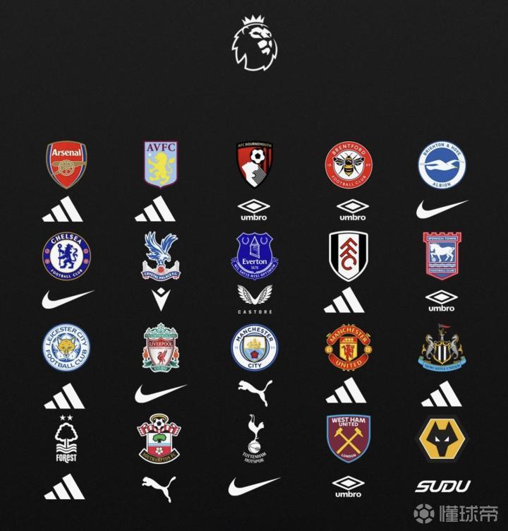 切尔西冬季转会：应对财务罚单下的引援策略与新赛季展望